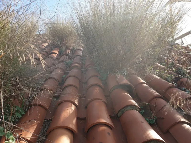 Foto del proyecto CAPILLA DE LA CADELLADA